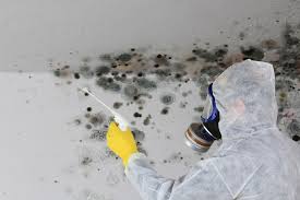 Best Commercial Mold Inspection  in Glendora, NJ